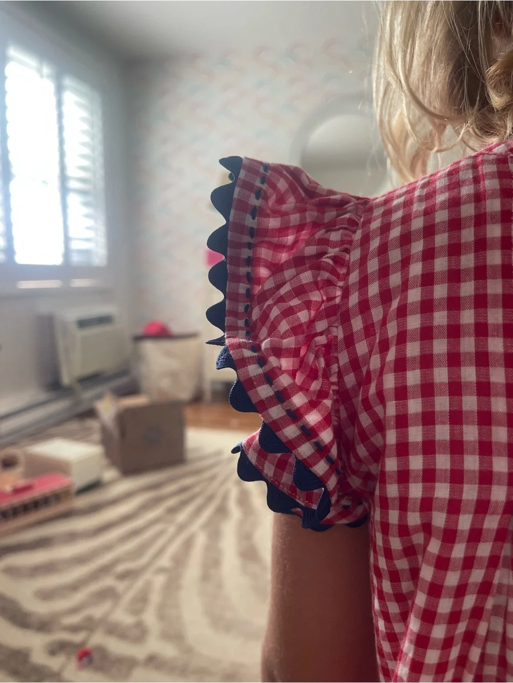 Proper Peony Red Gingham Dress